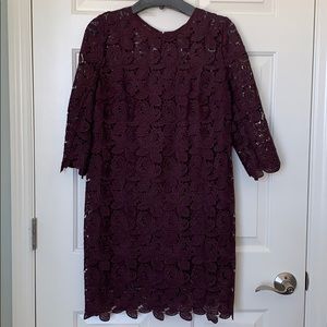 Loft Lace Shift Dress-Size 4 Petite (Small)